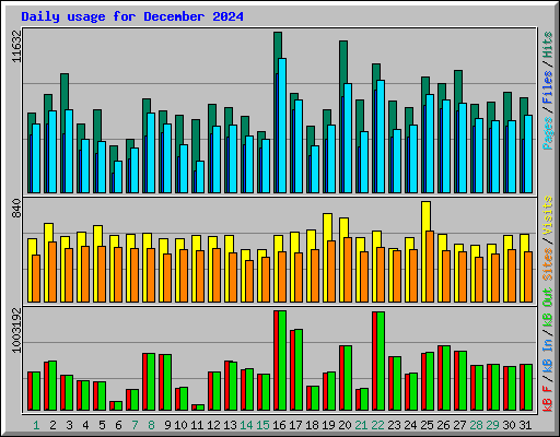 Daily usage for December 2024