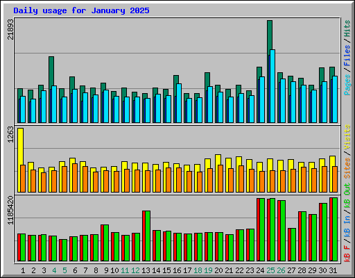 Daily usage for January 2025