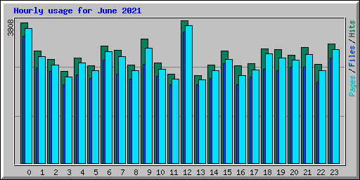 Hourly usage for June 2021