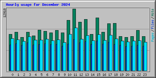 Hourly usage for December 2024
