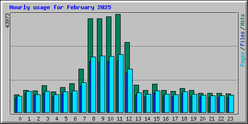 Hourly usage for February 2025