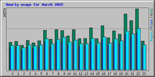 Hourly usage for March 2025