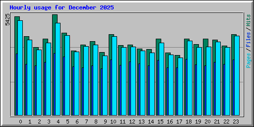 Hourly usage for December 2025
